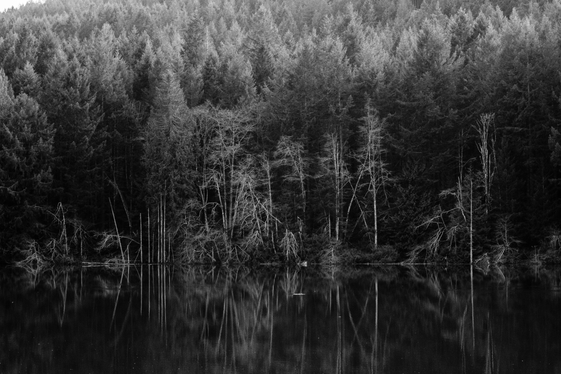 Photo by Marshall Reid (Canada)