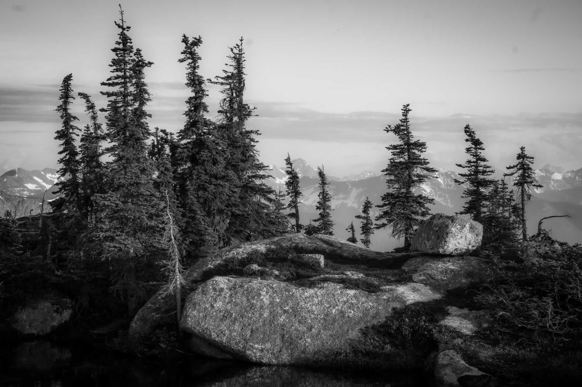 Photo by Marshall Reid (Canada)